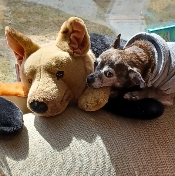 VINTAGE,VINTAGE, AND MORE VINTAGE - Picture 6 of 6